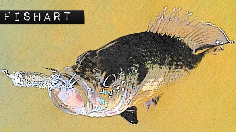 FishArt