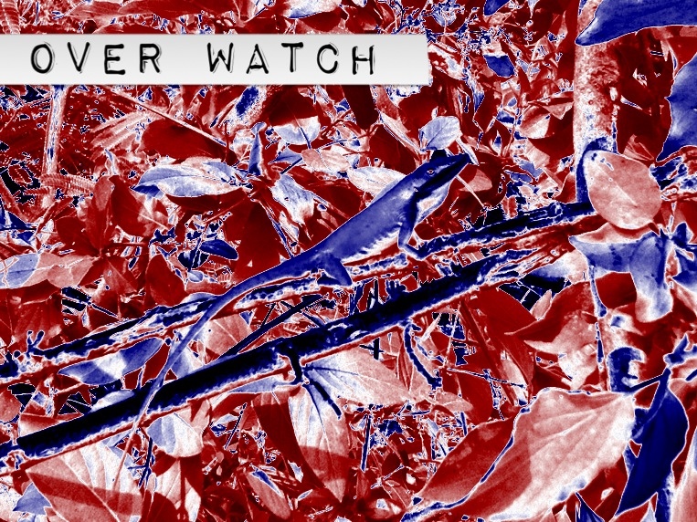 Over Watch Lizard