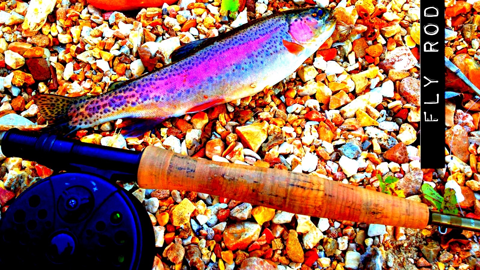 Fly Rod