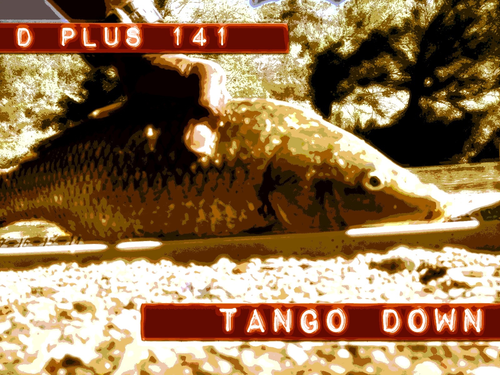 D-Day plus 141 (D+141)